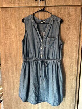Gap Sleeveless Cinch Waist Denim Dress